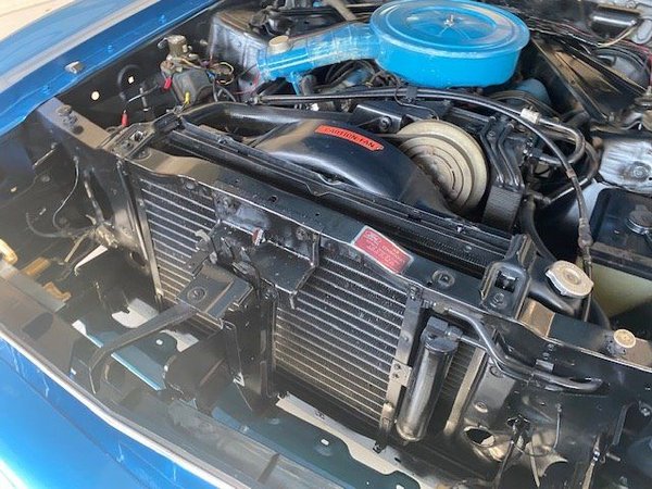 1973 Ford Mustang for Sale $19,800
