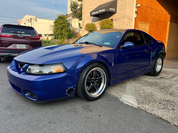 Turbo 2003 Mustang Cobra  for Sale $39,500 