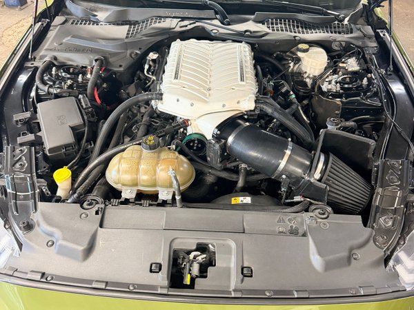 whipple 2018 mustang gt premium