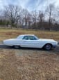 1964 Ford Thunderbird  for sale $13,495 