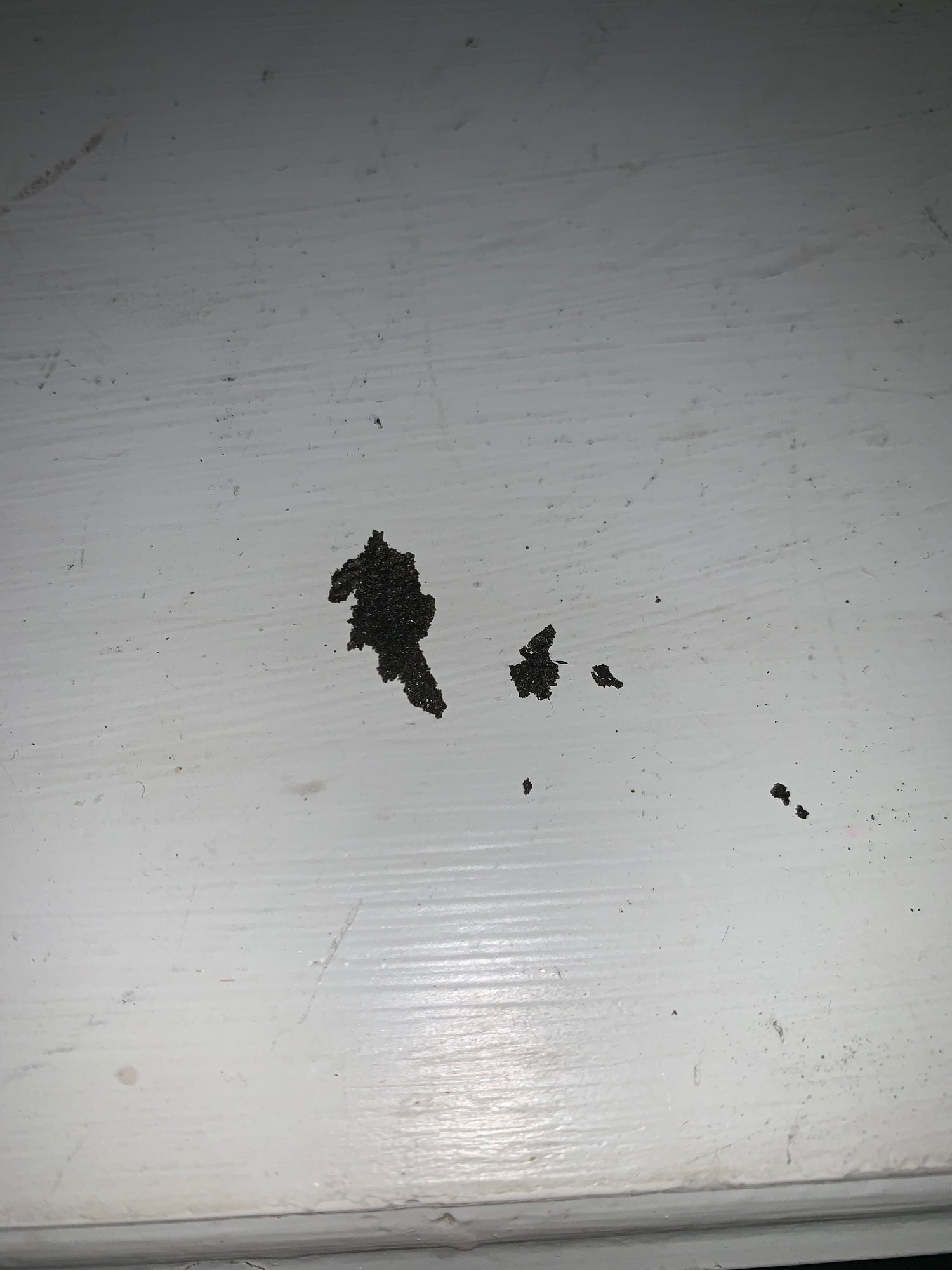 Black foam coming from the AC vents? Rennlist Porsche Discussion Forums