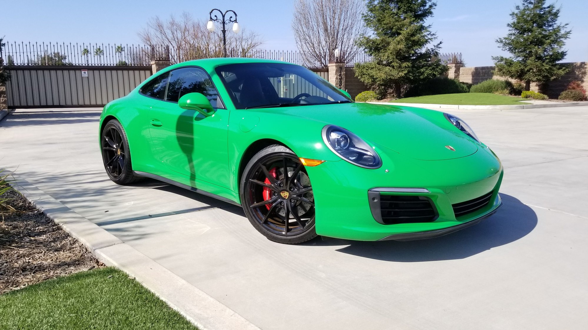 Viper green porsche