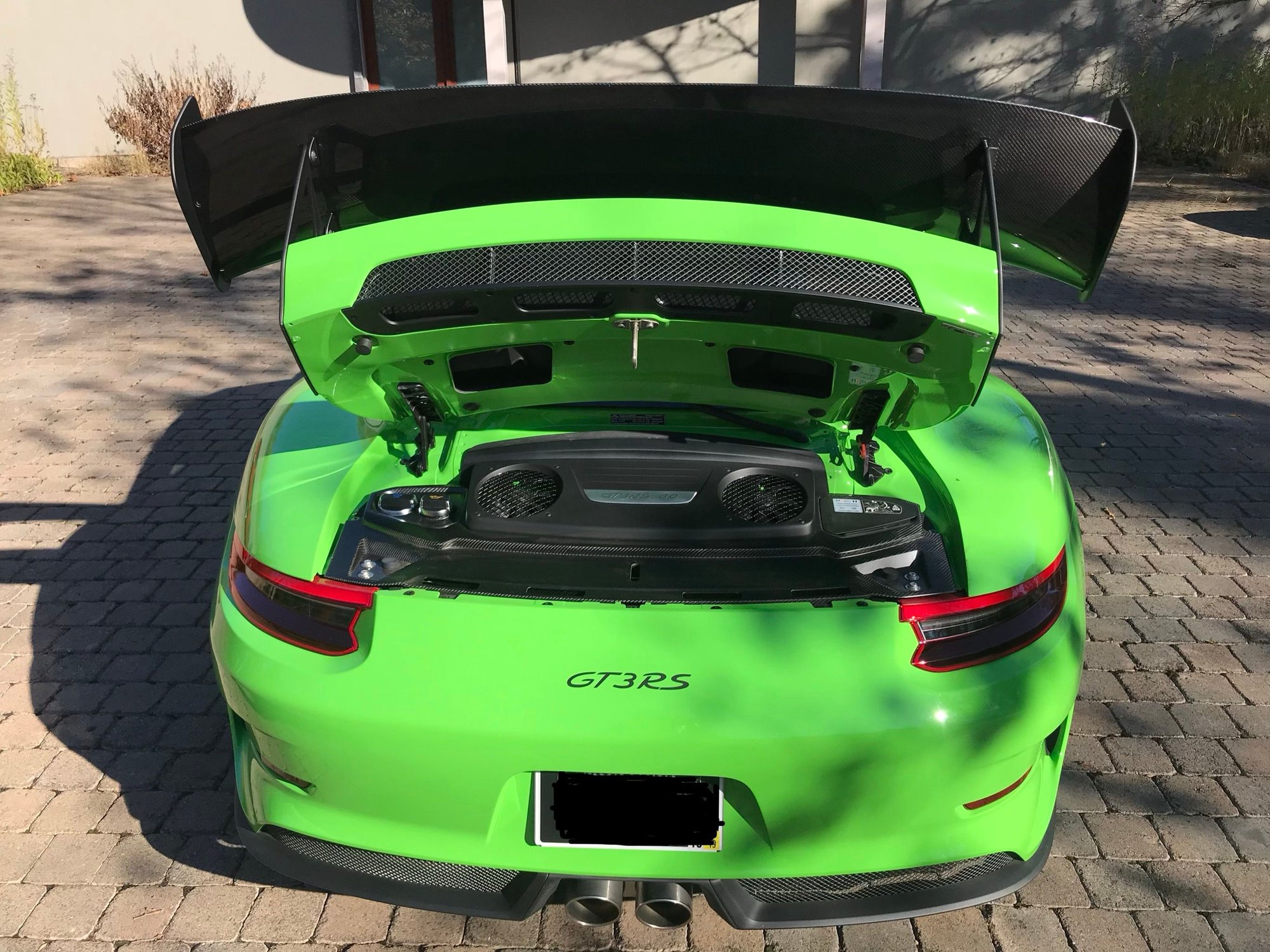 2019 Porsche GT3 - 2019 Porsche GT3RS Lizard Green Weissach - Used - VIN WP0AF2A96KS164212 - 510 Miles - 6 cyl - 2WD - Manual - Coupe - Other - Monkton, MD 21111, United States