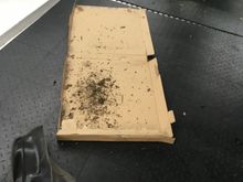 Got them cleaned pretty good. 