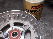 Thin coat of antiseize on outer bearing race to prevent corrosion.