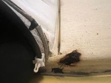 Burnt heater element - yikes! 