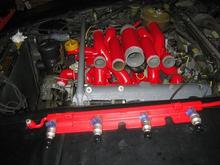 eightysix m