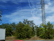 Powerline over 928s

D4436 FR16OE RedBluPowerline