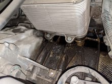 Looks like the oil cooler is leaking.  If I replace the seals will I have to remove the passenger side intake manifold?  How much of a bear is replacing these seals?