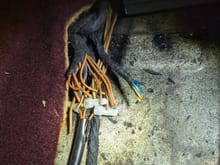Looks like these wires were cut, and the something else spliced in....