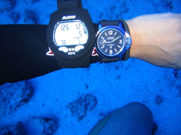 Off Maui at Molokini Crater, Sharks Condo dive site. Was a few years ago, but I like the shot. Recent post on the What watch are you wearing thread...