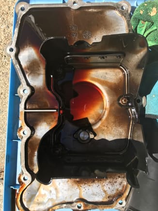 Nothing in the pan, rubber baffles in good shape