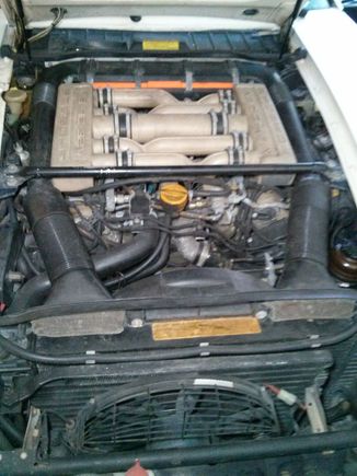 My intake.
