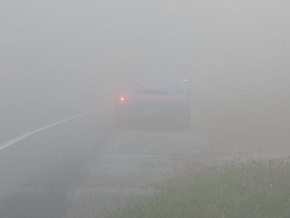 NC 181, worst fog I've ever experienced