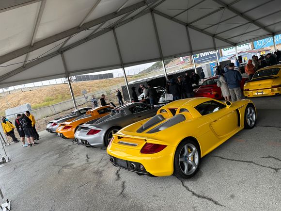 Carrera GT’s
