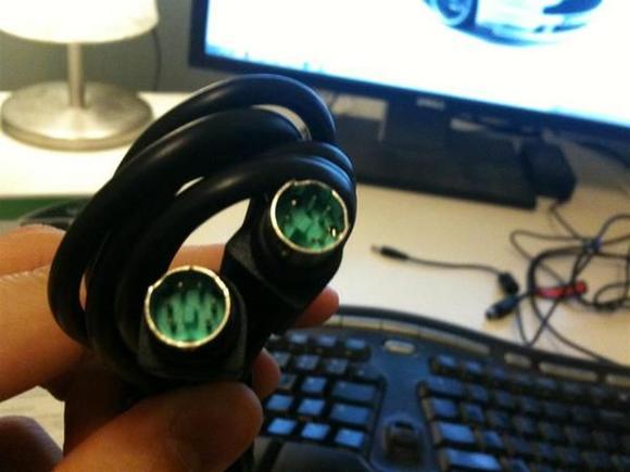 IMG 0314 (Medium)