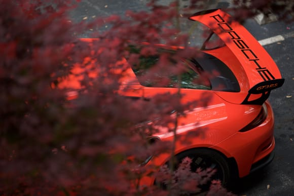 Lava Orange 991 GT3 RS peeks out from beneath the tree as seen from my balcony at The Ridges