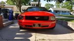 my stang