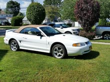 1998 Mustang Cobra