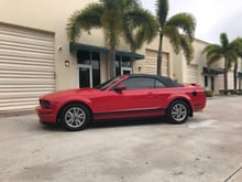 Never liked the OG "Mustang" and it was at the body shop. I had renderings done to see what white and blue would look like too.