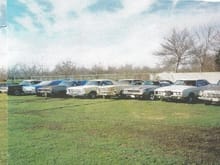 Pick My Fords 2000 Back Yard!