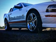 2010 gt500 replicas from American muscle. Thinking about going back?!? Yay...nay?!