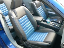Custom Leather interior