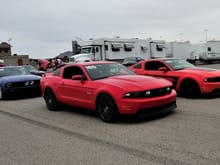 All-Mustang Track Event Mustang 50th Celebration Las Vegas Motor Speedway