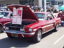 Mustang Photo Archive 1967-1968 Mustangs 1968 Mustang 1968 GT/CS