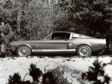 1968 shelby mustang kr500 bw 1280x960