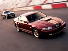 Mustang Photo Archive 1999-2004 Mustangs 2004 Mustang 2004 40th Anniversary