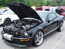 2007 shelby gt 1 732096