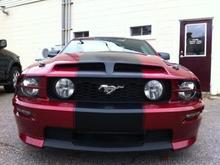 2007 Mustang GT/CS Hood