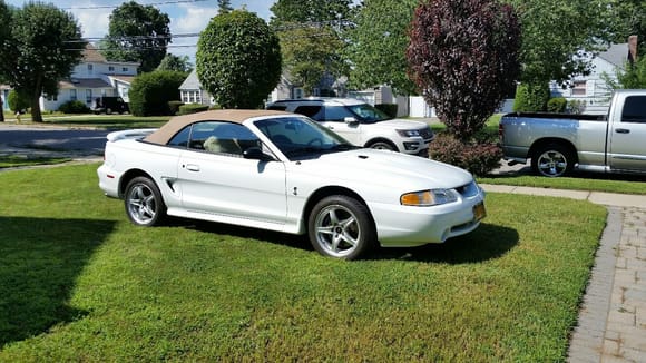 1998 Mustang Cobra SVT Convertible