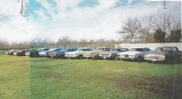 Pick My Fords 2000 Back Yard!