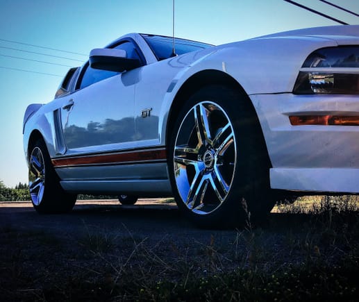 2010 gt500 replicas from American muscle. Thinking about going back?!? Yay...nay?!