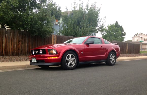 Chin spoiler and GT grille with fogs installed!