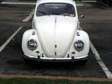 1961 VW the bug