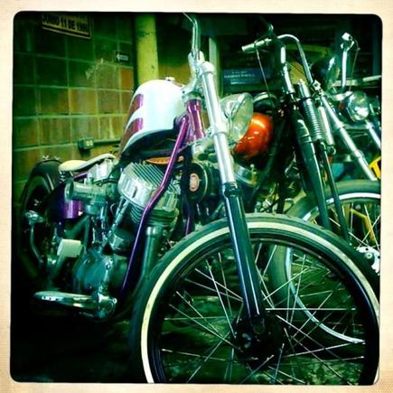 chops in the shop