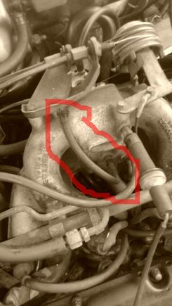 This 6 inch line which is a vacuum/fuel line wrapped in a braided line? The end that's not connected (top in the picture) was pointing down and it has a piece of some plastic connector broken off inside the end.
