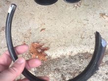 Anyone know what this is (from the undercarriage)?