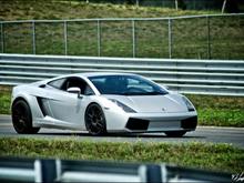 Gallardo 1
