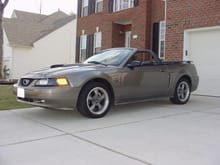 Dan's Mustang GT
