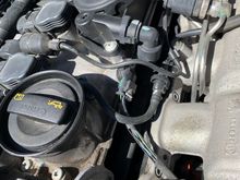 bare wire / and clip 