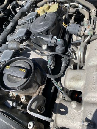 bare wire / and clip 