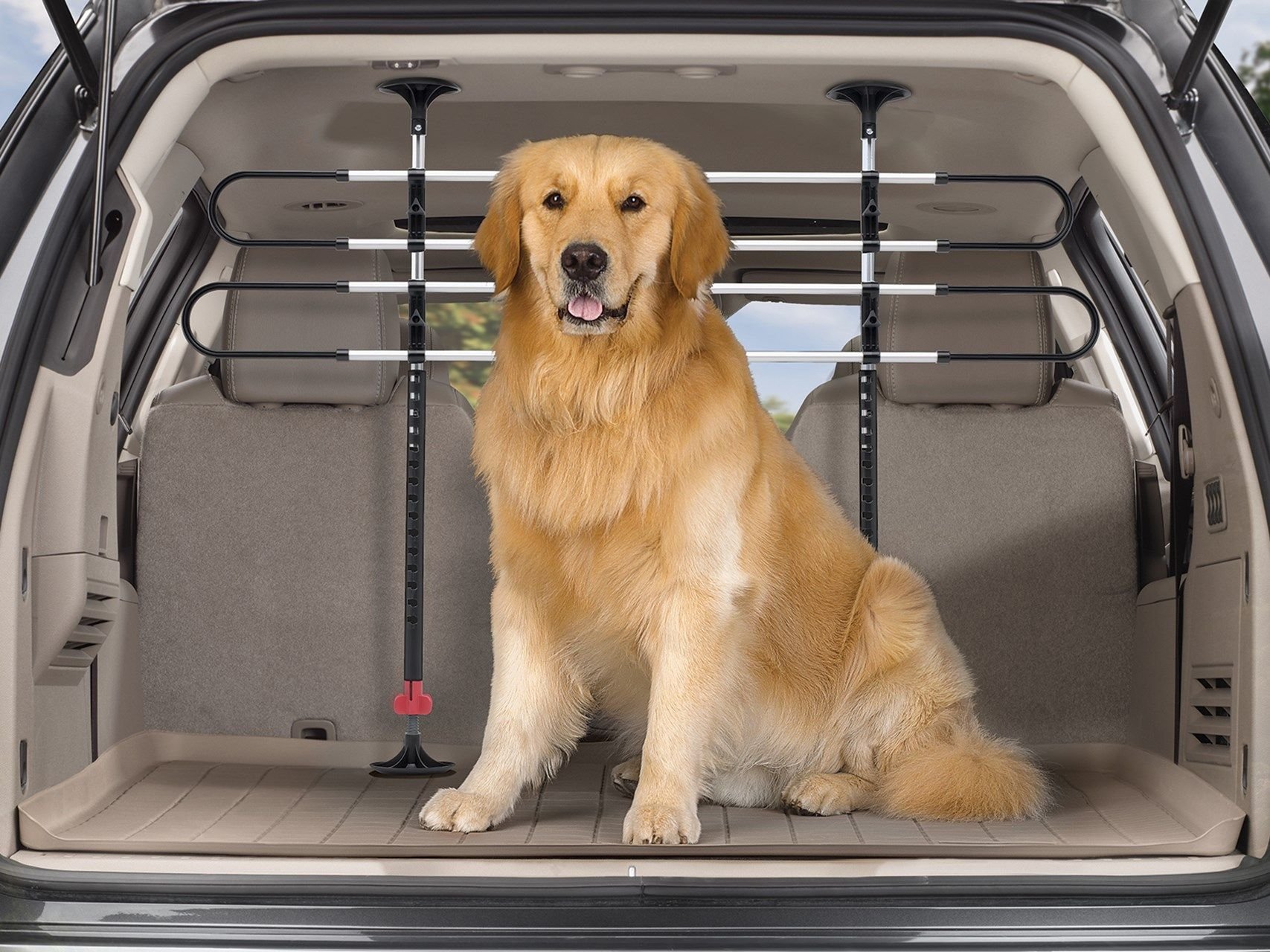 audi q7 pet barrier