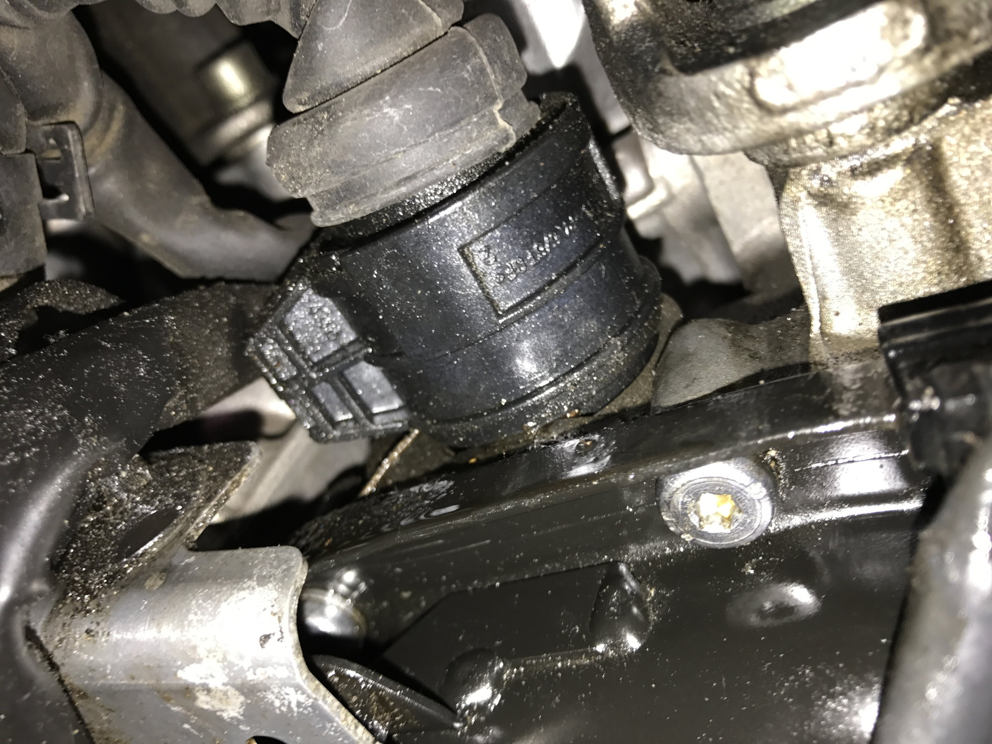 what kind of fluid goes in a harley transmission