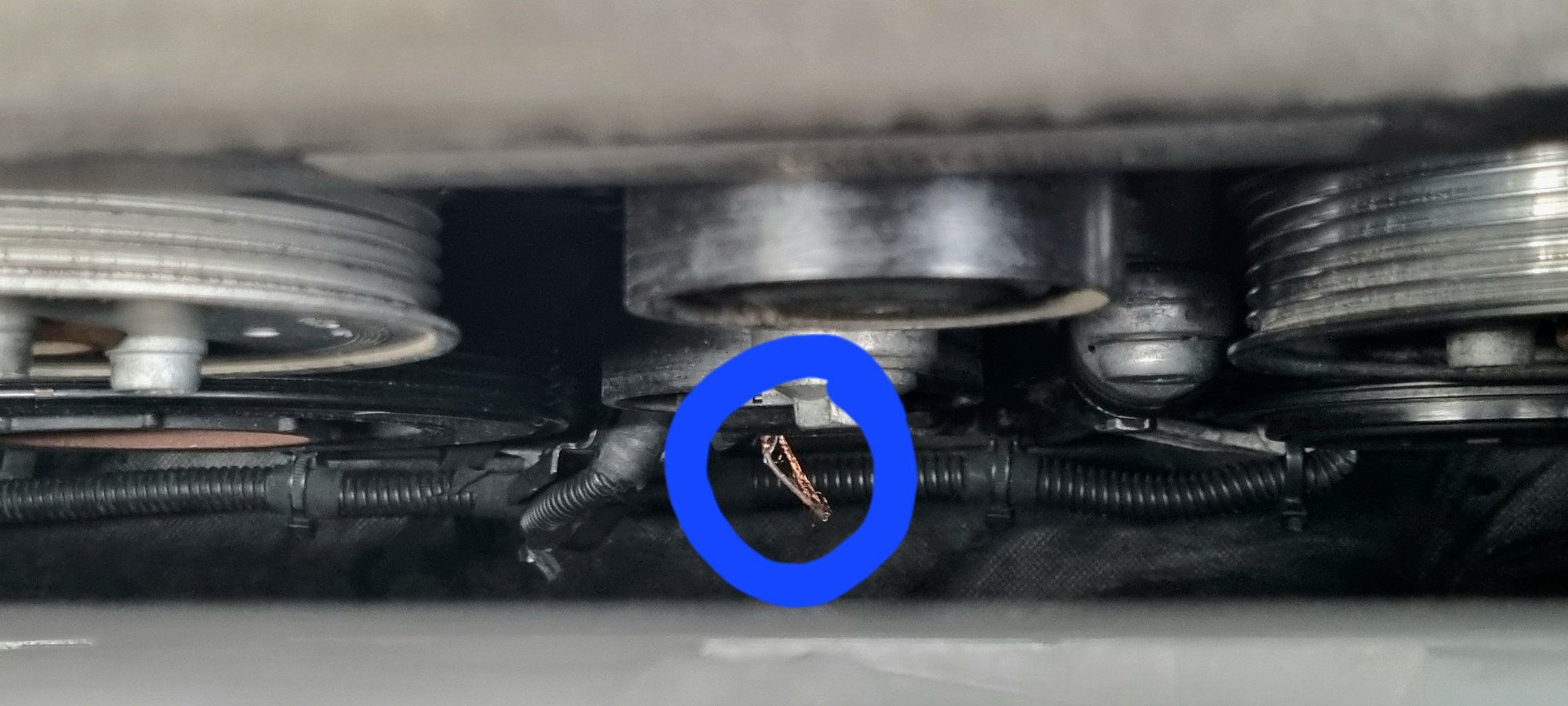 Serpentine belt failure sheared other wires AudiWorld Forums
