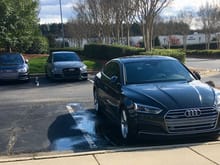 2018 S4, A4, & RS3... one Audi seems to attract others :)