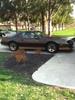 1984 z